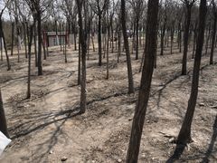 -天津东丽湖风景区