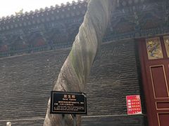 -关林