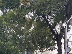-中国铁道博物馆(正阳门馆)