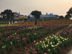 -松山湖梦幻百花洲