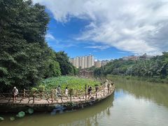 -曼听御花园