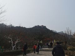 -崂山仰口游览区
