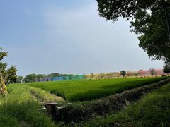 -苏州太湖西山岛开心农场