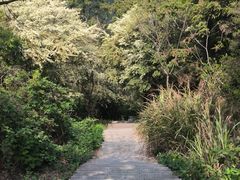 -天花井景区
