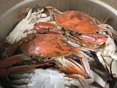 -王四营海鲜市场
