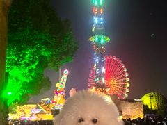 -横店影视城梦幻谷园区