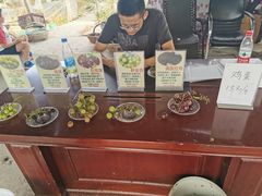 -马陆小张葡萄园农家乐