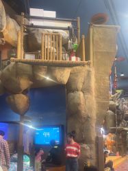 -卡通尼·Safari非洲探索乐园·生日会(金桥国际商业广场店)