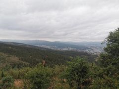 -长虫山生态公园风景林