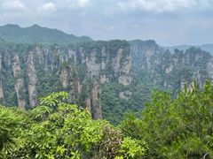 -印象鲵宴·张家界地标美食名片(溪布街店)