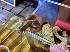 -尊神庙美食文化城