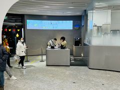 -喜茶(迪士尼小镇DP店)