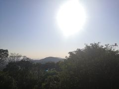 -天鹿湖森林公园