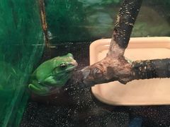 -上海大自然野生昆虫馆