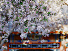 -趵突泉景区