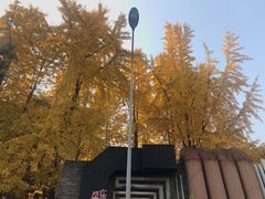 -黄桷坪涂鸦艺术街