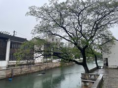 -青果巷历史文化街区