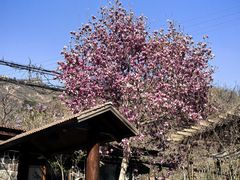 -北京水岸山吧度假村(雁栖镇店)