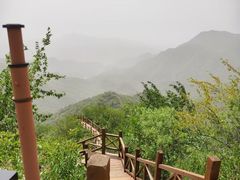-大岭沟猕猴桃谷风景区