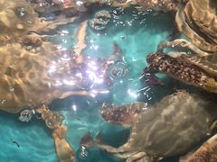 -拉完海鲜大排档(温岭店)