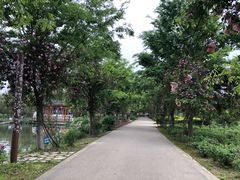 -鹅湖玫瑰文化园