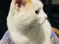 -南京夫子庙国际青年旅舍(平江府路店)