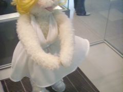 -济州岛泰迪熊博物馆