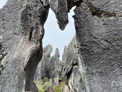 -泥凼石林风景区