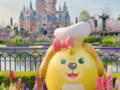 -上海迪士尼度假区