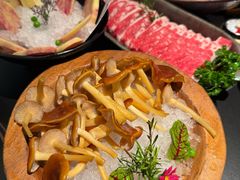 -季季山·云南野生菌火锅(上海首店)