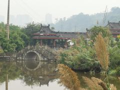 -张坝桂圆林公园