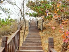 -蟒山国家森林公园-停车场