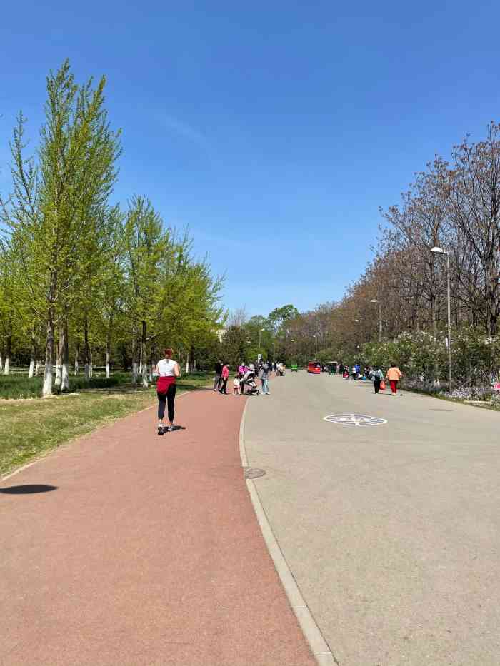 奥林匹克森林公园-北园-"许久没有来过奥森北园了,相对于南园的一步.