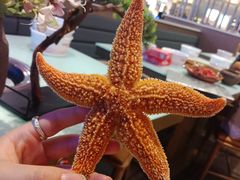 -红透天牛排海鲜自助(长和国际直营店)