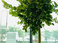 -丘大叔柠檬茶(来福士广场分店)