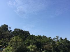 -厦门悦华酒店