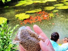-水磨沟公园