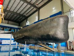 -上海海洋大学鱼文化博物馆(军工路校区)