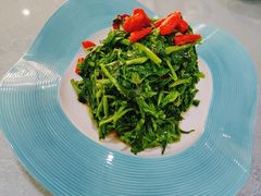 枸杞叶-小叶手抓(解放东街店)