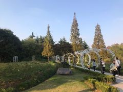 -昆山城市生态森林公园