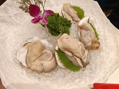 大连海岛生蚝-纯味斑鱼府(中海环宇荟店)