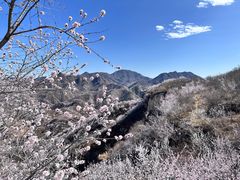 -龙泉峪长城