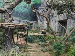 -石排湾郊野公园