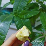嘤嘤嘤宝藏零食分享大会