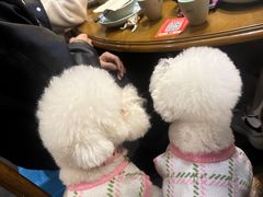 -鸡毛店·川菜(李家沱店)