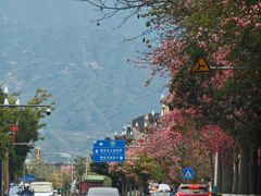 -攀枝花公园