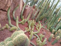 -南通洲际绿博园