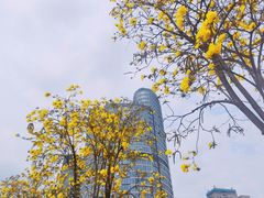 -洲头咀公园