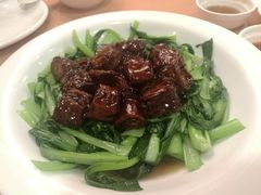 鸡毛菜圈子-新南华大酒店(广中店)