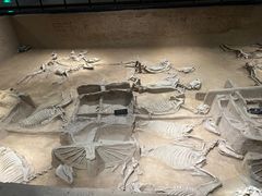 -洛阳周王城天子驾六博物馆